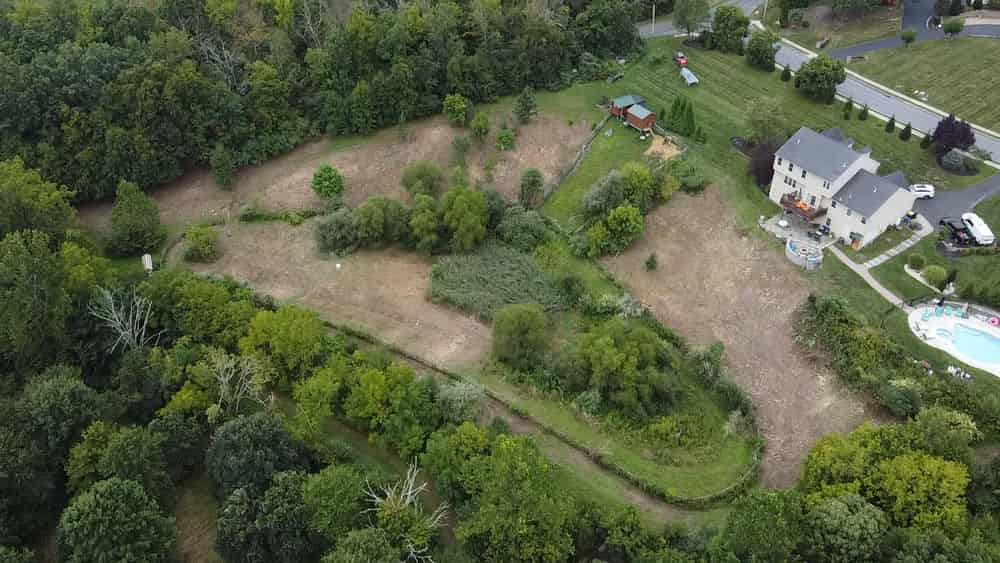 Brush Clearing/Land Management image